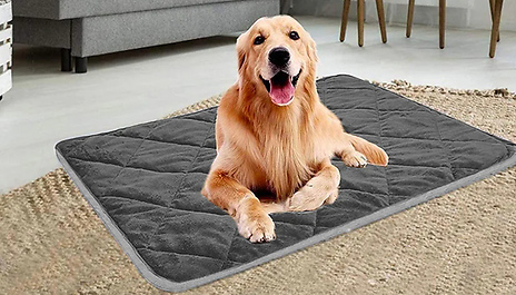 Thermal Pet Mat - 2 Sizes